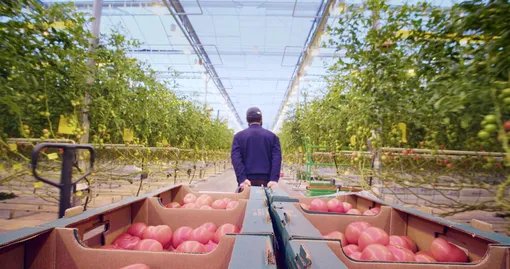 Московский фестиваль ФАНК Московский фестиваль ФАНК