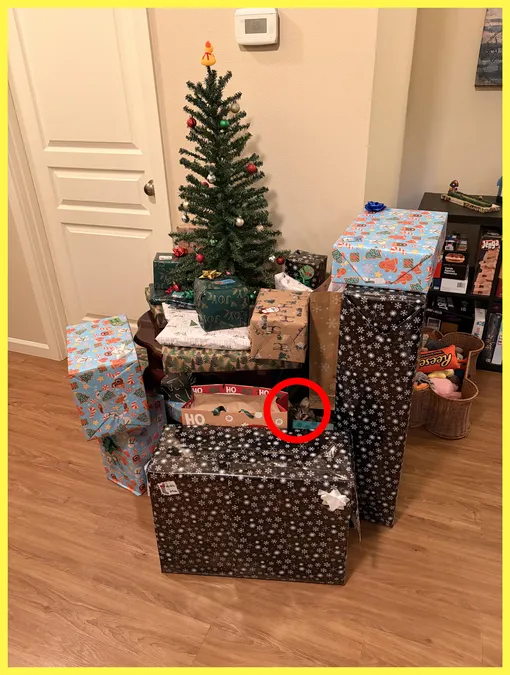 Ответ на тест на внимательность