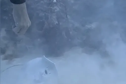 Видео: мужчина спас ската, который проткнул рот леской-призраком Видео: мужчина спас ската, который проткнул рот леской-призраком