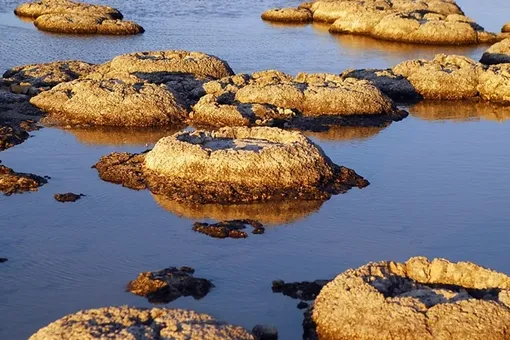 ИИ находит признаки жизни в древнейших породах ИИ находит признаки жизни в древнейших породах