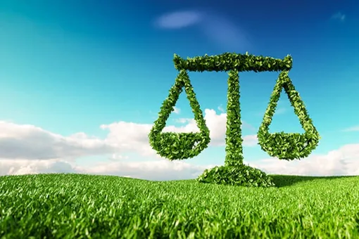 envoronmental law