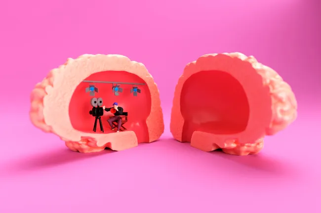 Внутричерепной строй: за что отвечают полушария мозга