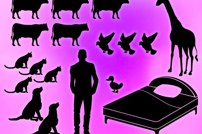 Загадка на внимательность, которая ставит в тупик: справятся только люди моложе 40 лет