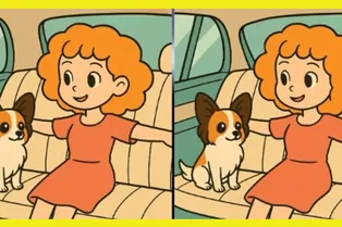 Женщина с собачкой: сможете найти 3 отличия за 20 секунд?