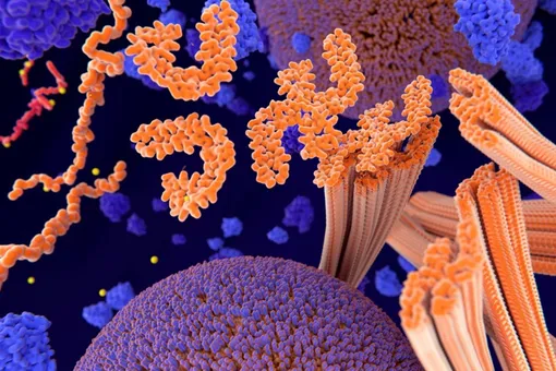 Анализ крови может предсказать начало болезни Альцгеймера Анализ крови может предсказать начало болезни Альцгеймера