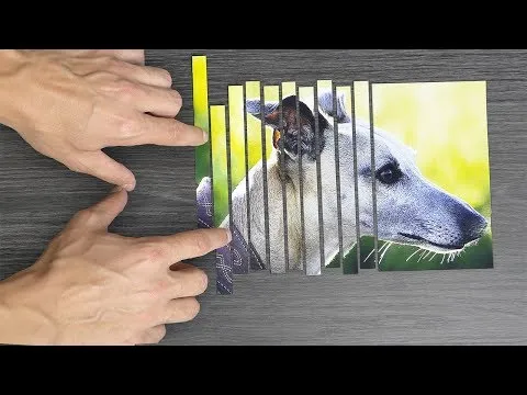 Нажми и смотри Нажми и смотри