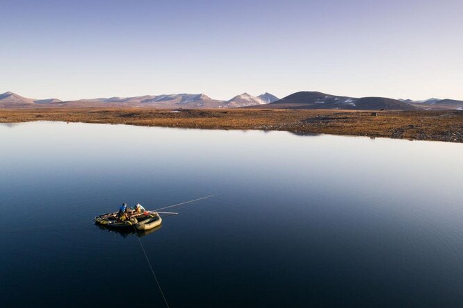 Арктика когда-то была цветущей и зеленой — и вскоре она может вернуться в это состояние