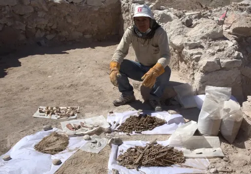 Кости, керамика, ботанические остатки и другие находки людей Уари на месте Quilcapampa. / Кости, керамика, ботанические остатки и другие находки людей Уари на месте Quilcapampa. /