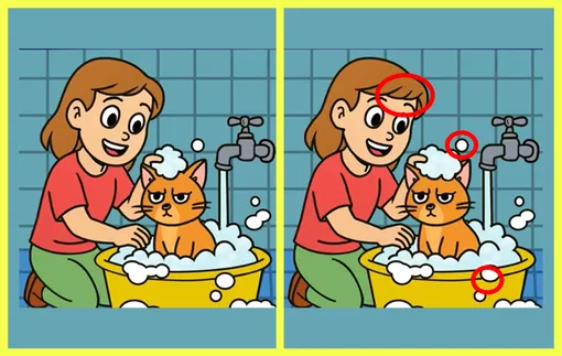 Ответ на зрительный тест