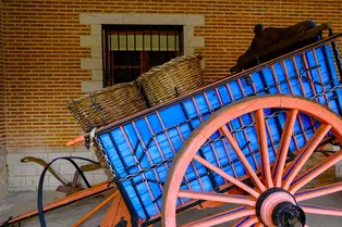 В сарае фермера каждую ночь кто-то убирался. Мужчина поставил камеру и узнал невероятную правду