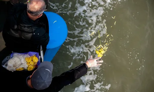 Мужчина на корабле разбрасывает цветы в море во время церемонии похорон в Китае. Мужчина на корабле разбрасывает цветы в море во время церемонии похорон в Китае.
