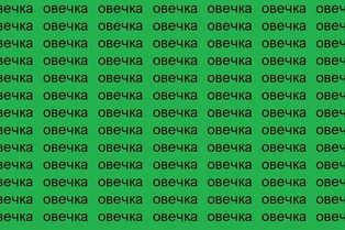 Найдите «свечку» среди «овечек»: мини-тест на проверку внимательности Найдите «свечку» среди «овечек»: мини-тест на проверку внимательности