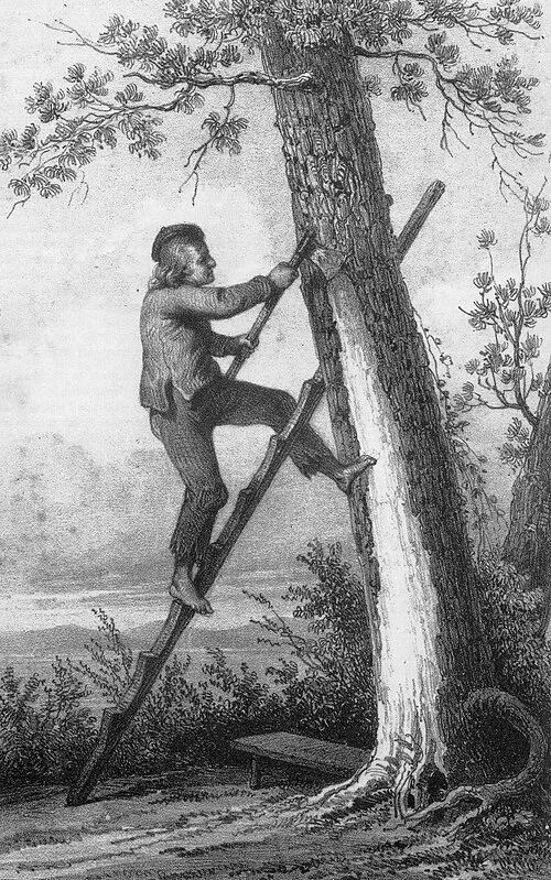 вздымщик 19 века