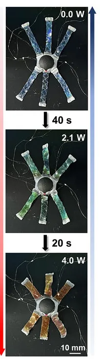 изменение цвета щупалец изменение цвета щупалец