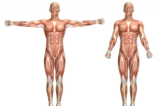 В это еще кто-то верит: 5 самых живучих мифов о вашем теле