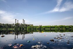 Загрязнение Земли ежегодно забирает жизни 9 миллионов человек. Вот в чем дело