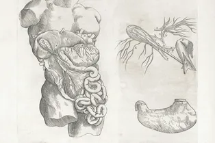 Совершенно секретно: главные загадки человеческого тела