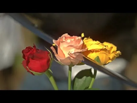 Нажми и смотри Нажми и смотри