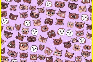 Быстрая проверка внимательности: найдите бабочку среди сов за 13 секунд