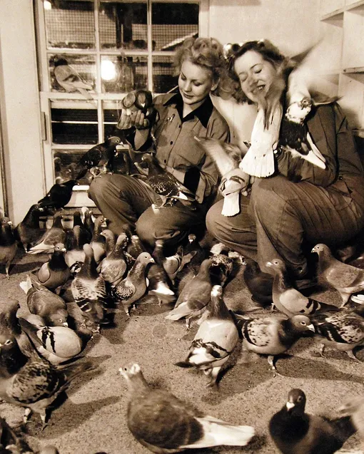 Черно-белое фото женщин с голубями