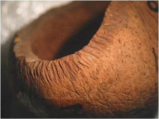 Семена пальмы Рапа-Нуи эндокарпий, пережеванные крысой Семена пальмы Рапа-Нуи эндокарпий, пережеванные крысой.