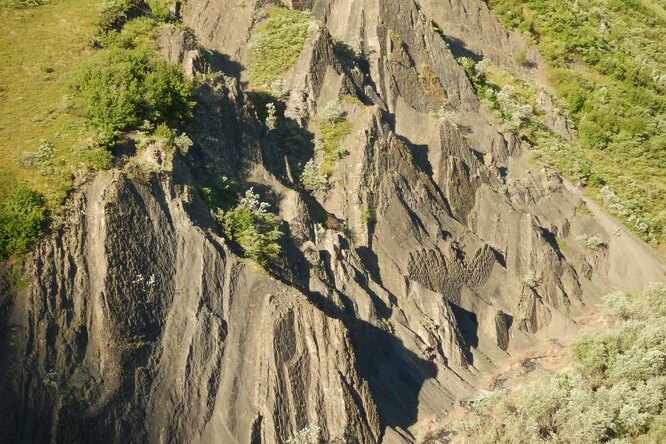 «Колизей» динозавров: удивительное открытие в американском заповеднике