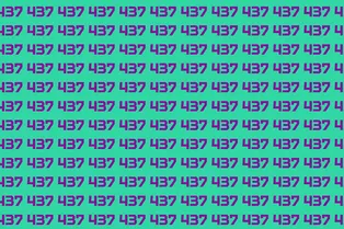 Испытание на внимательность: найдите число 487 за 8 секунд