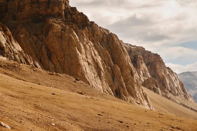 Почему макаки едят землю и как ученые готовятся к встрече с марсианскими микробами: главные новости сегодня