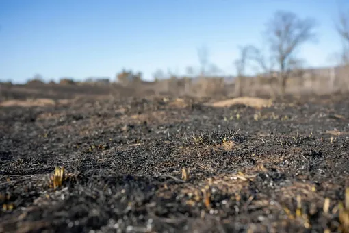 голая бесплодная земля