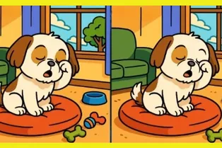 Сонный песик: найдите 3 отличия между картинками за 19 секунд Сонный песик: найдите 3 отличия между картинками за 19 секунд