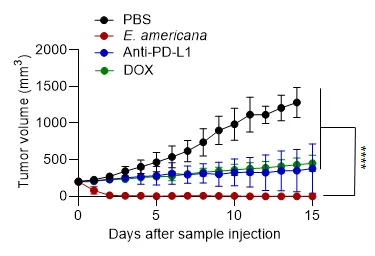 увеличение концентрации бактерий со временем