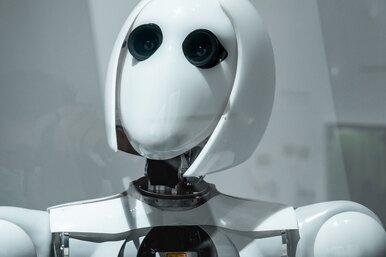 Наука стирает грань между живыми и искусственными материалами