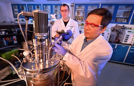 биореактор