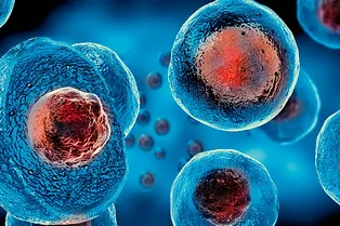 Клетки человека способны проникать даже в самые узкие каналы Клетки человека способны проникать даже в самые узкие каналы