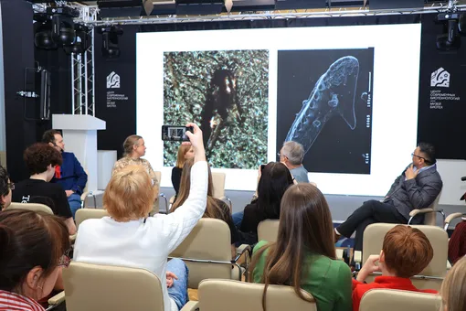 лекторий техинсайдера музей биотех биологический музей фото лекция лекторий техинсайдера музей биотех биологический музей фото лекция