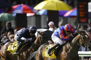 Загадка про умирающего старика и оставленное наследство: ее решат только настоящие эрудиты