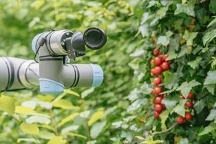 Роботы за работой. Главные научные новости недели Роботы за работой. Главные научные новости недели
