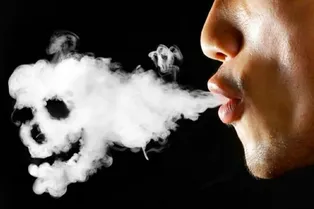 Каждодневное курение вызывает уменьшение размеров мозга Каждодневное курение вызывает уменьшение размеров мозга