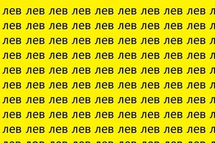 У вас есть лишь 11 секунд: найдите на картинке лишнее слово У вас есть лишь 11 секунд: найдите на картинке лишнее слово