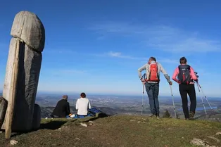 В Германии неизвестные украли с горы огромный деревянный фаллос