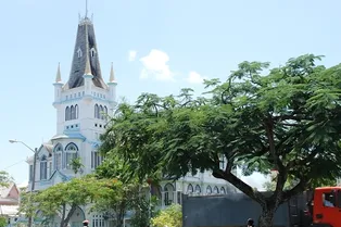 Как маленькая страна стала единственной в мире, способной прокормить себя