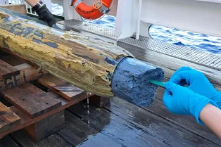 Ученые поражены! В океане при pH 12 нашли жизнь Ученые поражены! В океане при pH 12 нашли жизнь