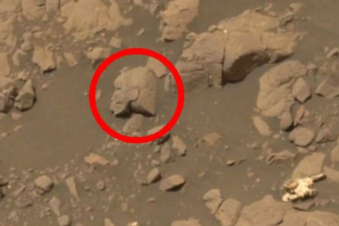 Marsın En Sevimli Krateri: Keşif Aracı bir AYI Görüntüsü Yakaladı