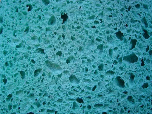 wet blue sponge wet blue sponge