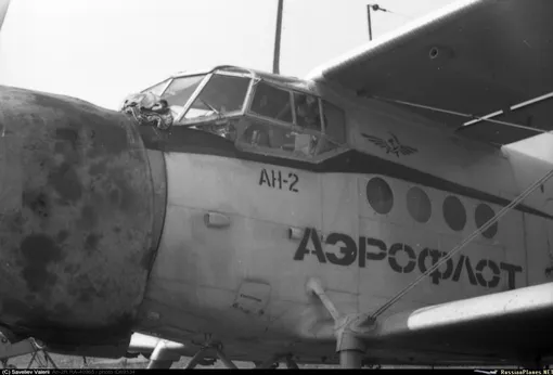 ан-2 авиалесохрана