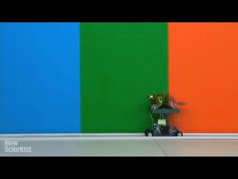 Нажми и смотри Нажми и смотри