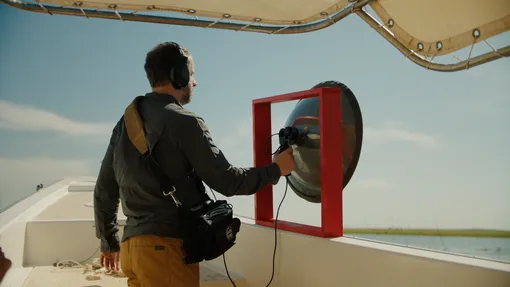 Московский фестиваль ФАНК Московский фестиваль ФАНК