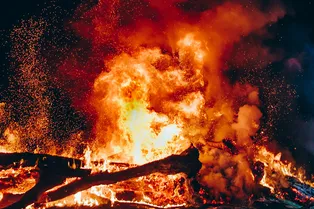 Из-за чего происходят сильные пожары в лесах? Это нужно знать каждому любителю природы!