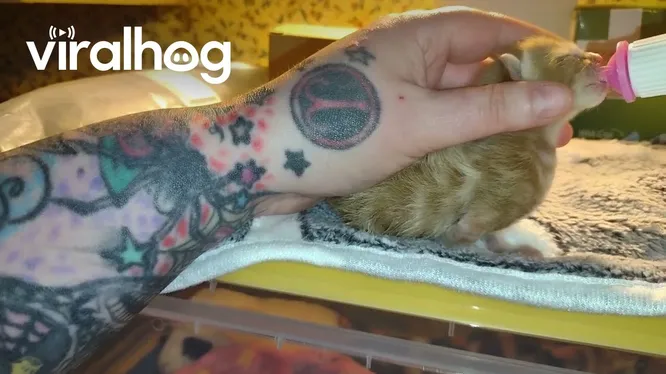 Нажми и смотри