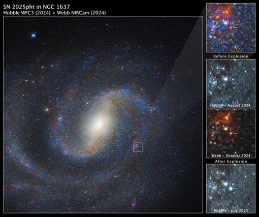 На главном изображении слева — комбинированный снимок спиральной галактики NGC 1637, сделанный Уэббом и Хабблом, с интересующей нас областью в правом верхнем углу. На остальных трех панелях показан детальный вид красной сверхгигантской звезды до и после ее взрыва. Звезда не видна на снимке Хаббла до взрыва, но появляется на снимке Уэбба. На снимке Хаббла от июля 2025 года видны светящиеся последствия взрыва. На главном изображении слева — комбинированный снимок спиральной галактики NGC 1637, сделанный Уэббом и Хабблом, с интересующей нас областью в правом верхнем углу. На остальных трех панелях показан детальный вид красной сверхгигантской звезды до и после ее взрыва. Звезда не видна на снимке Хаббла до взрыва, но появляется на снимке Уэбба. На снимке Хаббла от июля 2025 года видны светящиеся последствия взрыва.